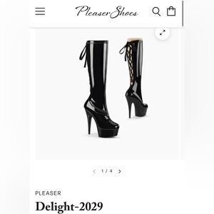 Pleaser Platform heels Delight 2029